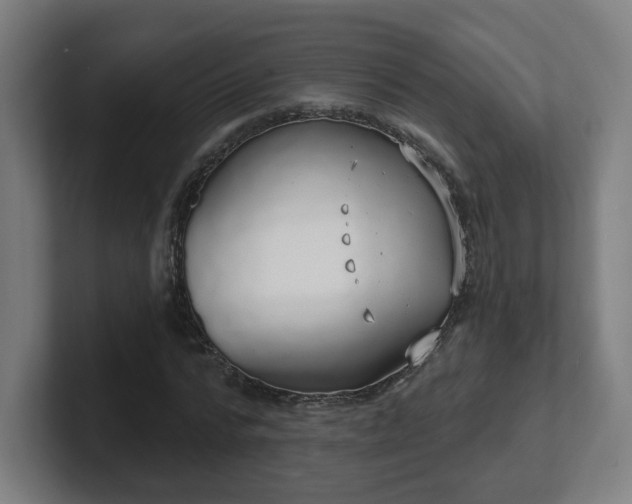 X0000101700776200807171514