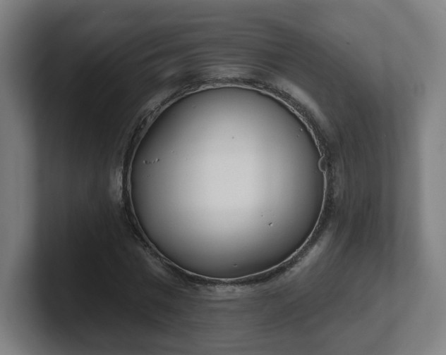 X0000101700777200807171514