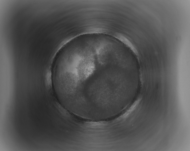 X0000101700781200807171513