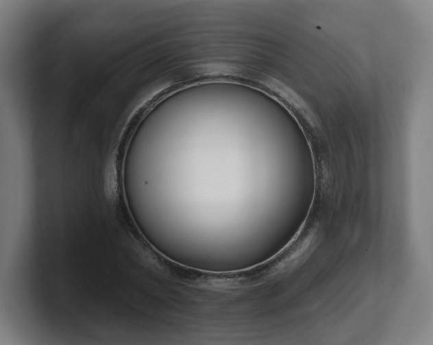 X0000101700782200807171513