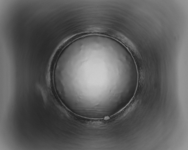 X0000101700784200807171513