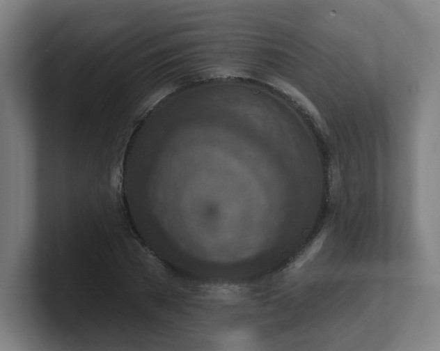 X0000101700785200807171513