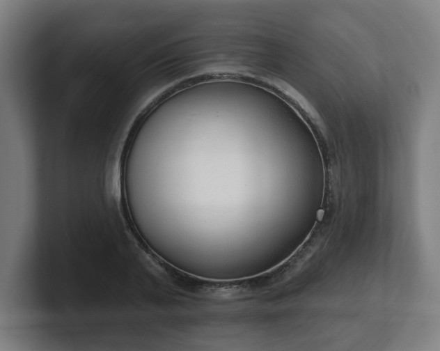 X0000101700791200807171513