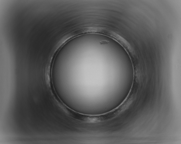 X0000101700794200807171513