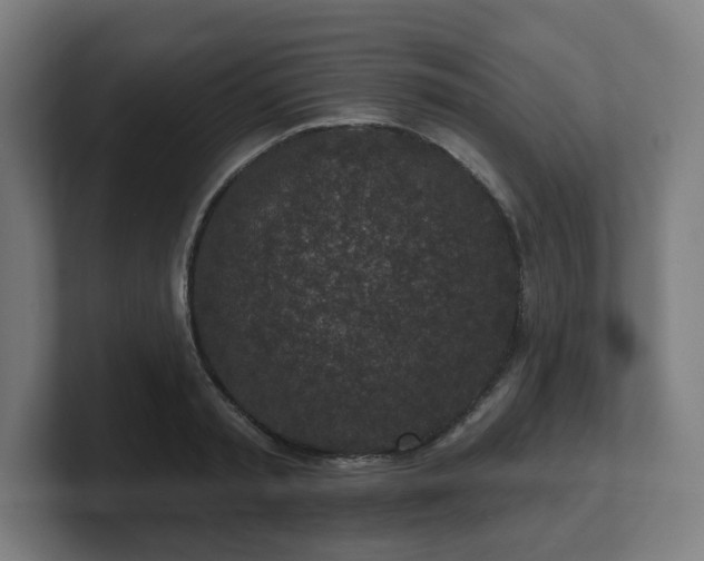 X0000101700797200807171513