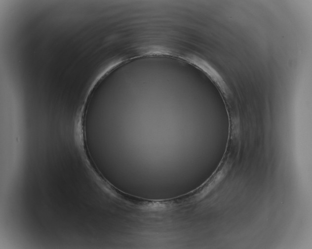 X0000101700806200807171513