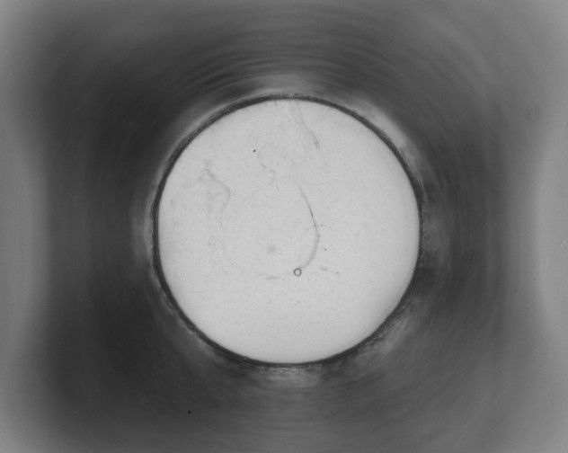 X0000101700807200807171513