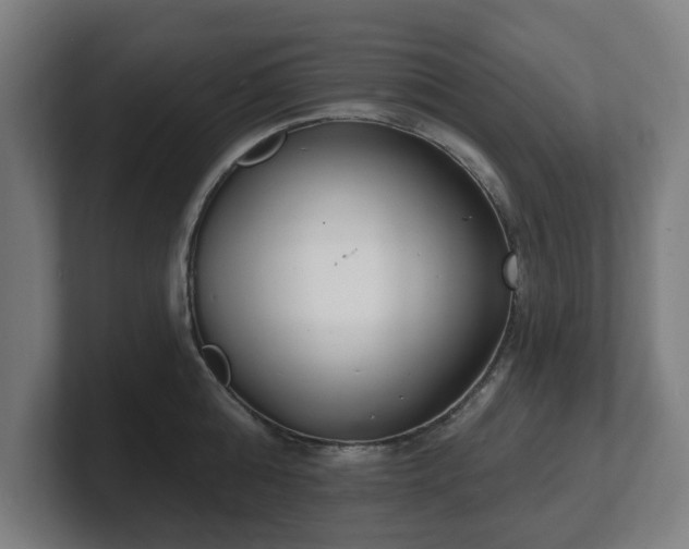 X0000101700808200807171513