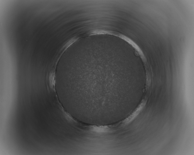 X0000101700809200807171513