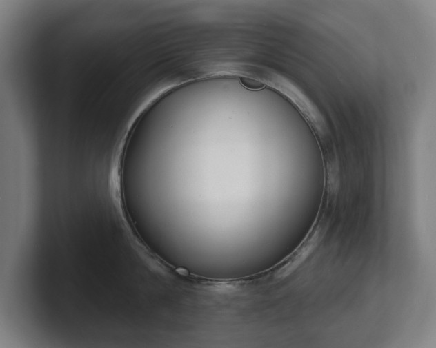 X0000101700814200807171513