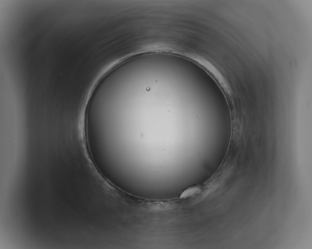 X0000101700815200807171513