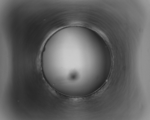 X0000101700816200807171513