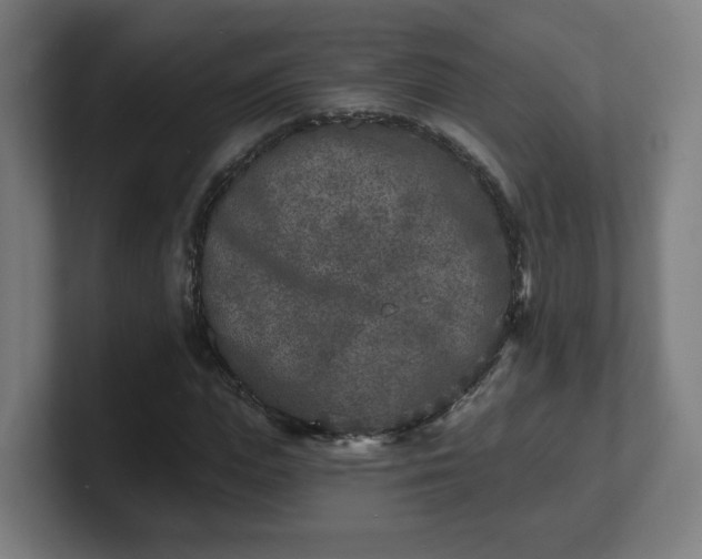 X0000101700823200807171512