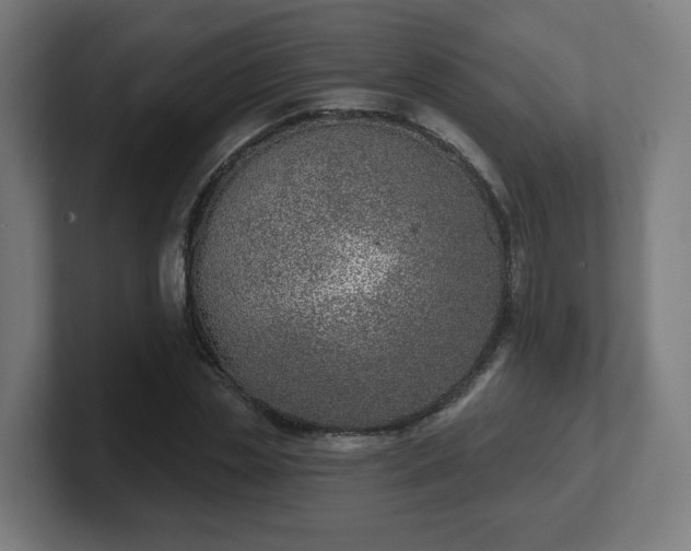 X0000101700829200807171512