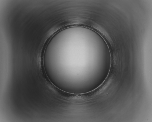 X0000101700834200807171513