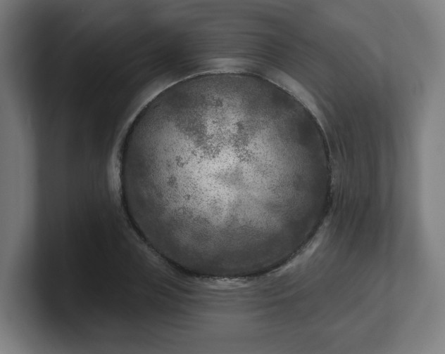 X0000101700835200807171513