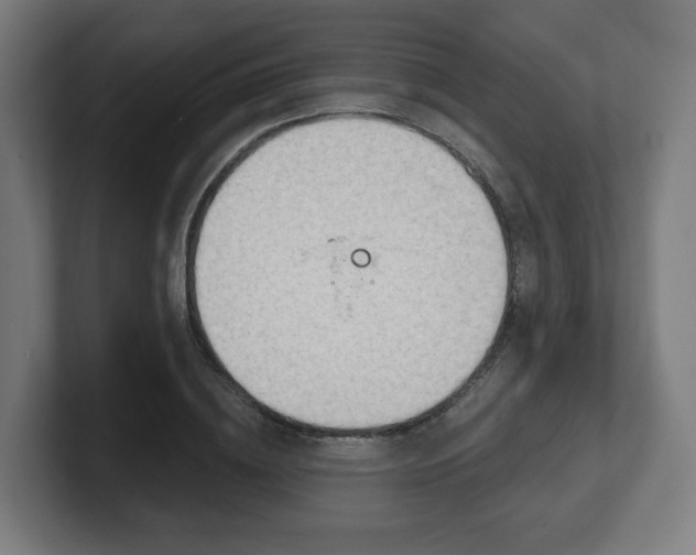 X0000101700836200807171513