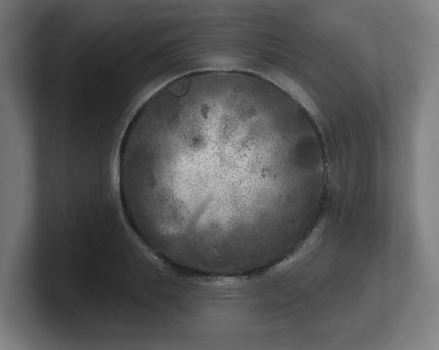 X0000101700839200807171513