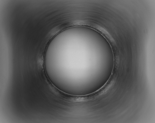 X0000101700841200807171513