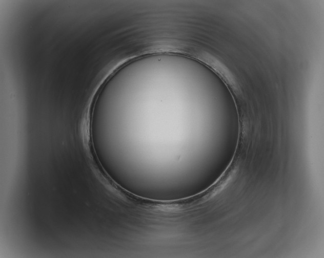 X0000101700844200807171513