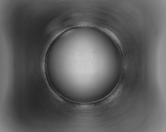 X0000101700847200807171513