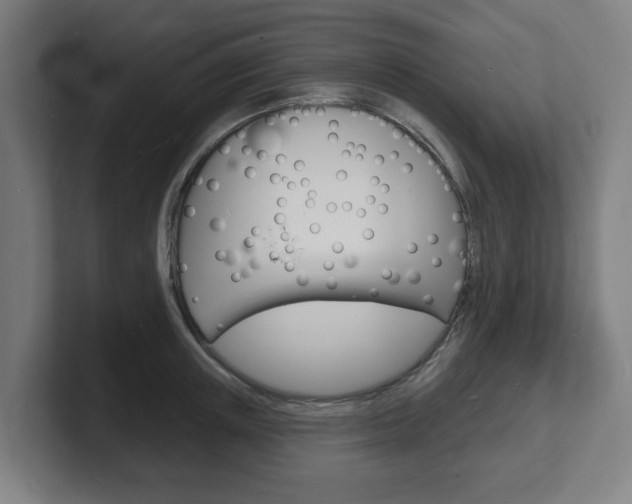 X0000101700851200807171513