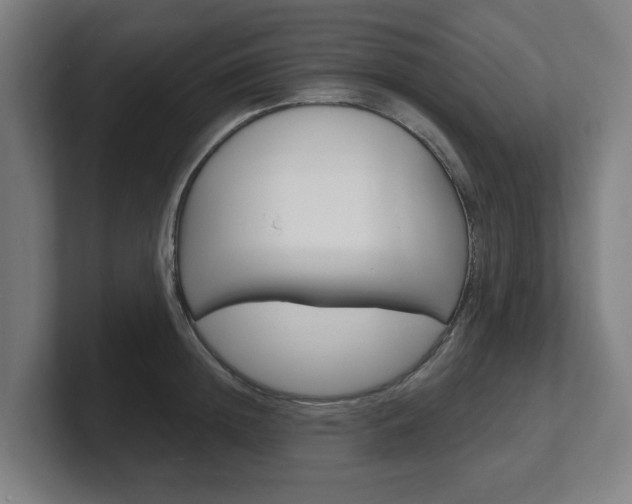 X0000101700852200807171513