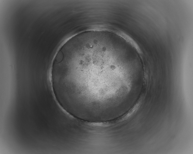 X0000101700855200807171513