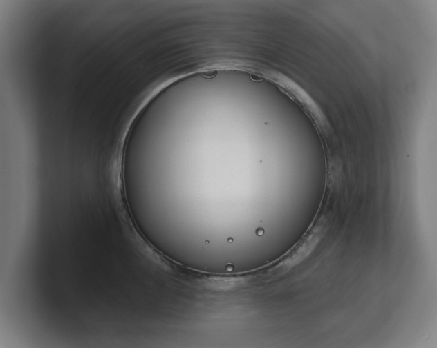 X0000101700860200807171513