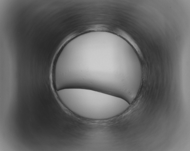 X0000101700861200807171513