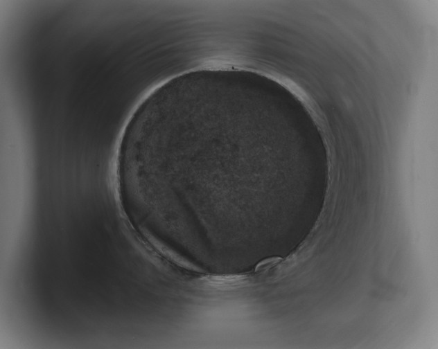 X0000101700864200807171513