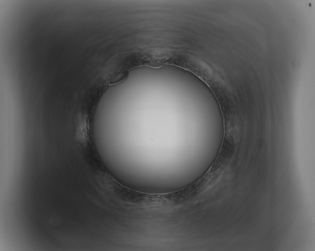 X0000101700866200807171512