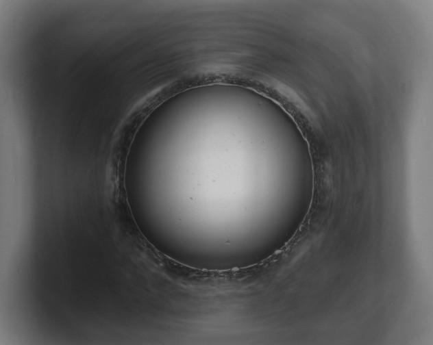 X0000101700872200807171512