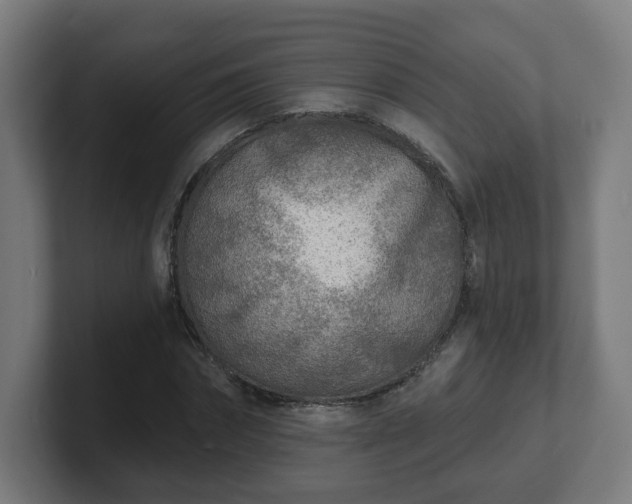 X0000101700874200807171512