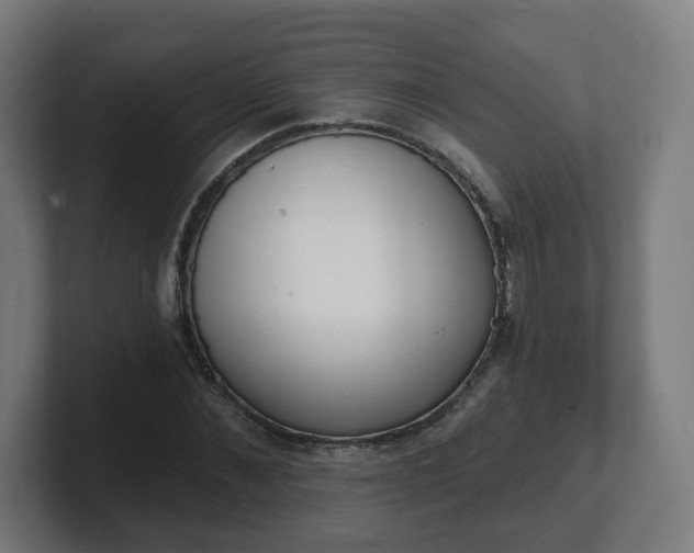 X0000101700876200807171512