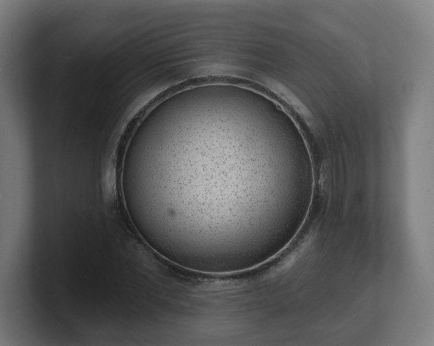 X0000101700877200807171512