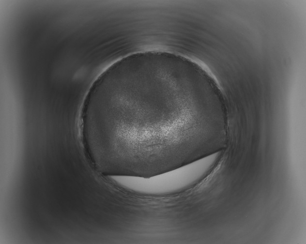 X0000101700879200807171512