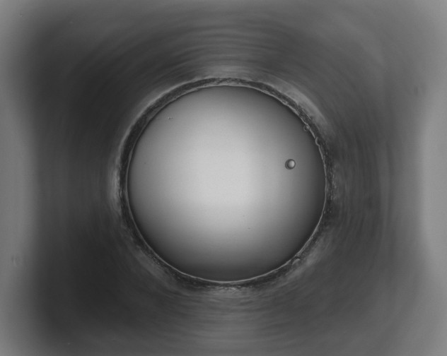 X0000101700880200807171512