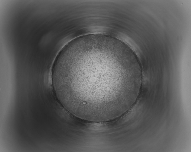 X0000101700883200807171512