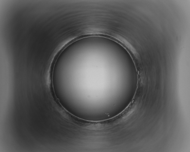 X0000101700885200807171512