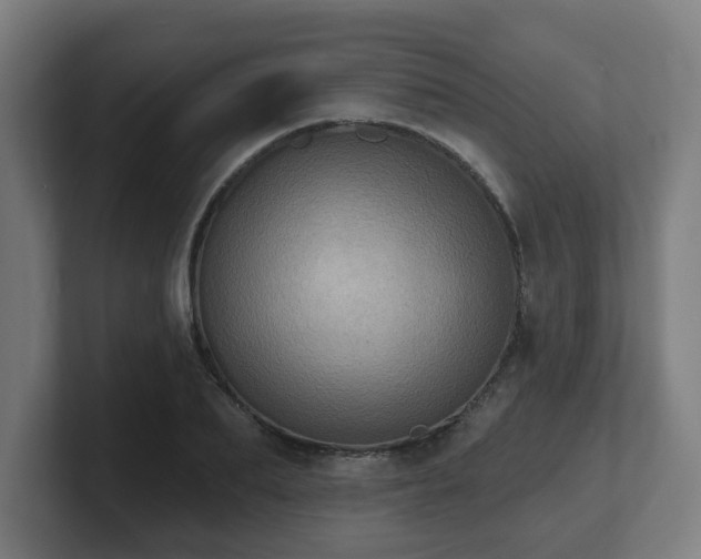 X0000101700887200807171512