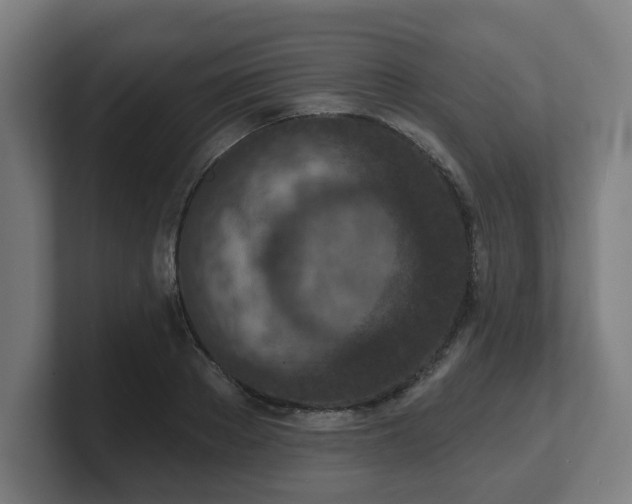 X0000101700889200807171512