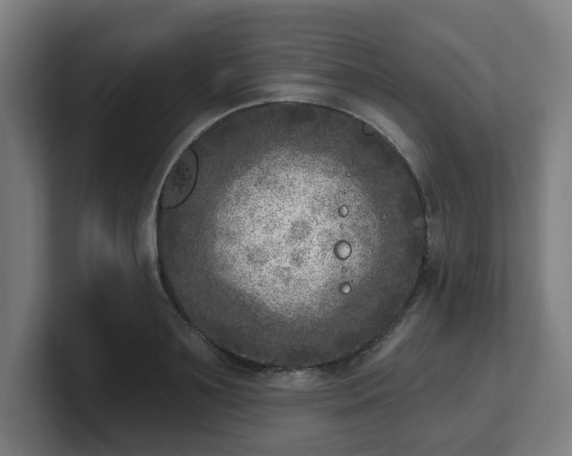 X0000101700891200807171512