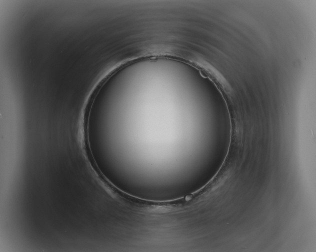 X0000101700894200807171512