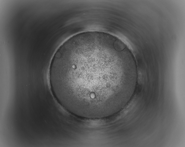 X0000101700895200807171512