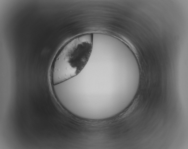 X0000101700899200807171512