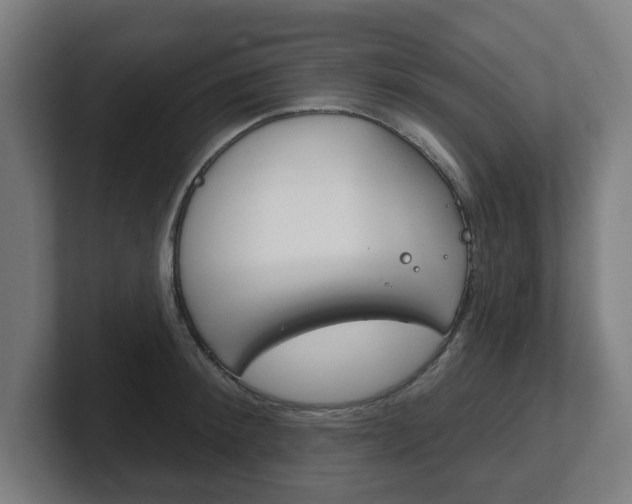 X0000101700900200807171512