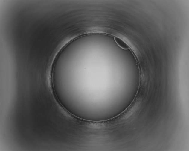 X0000101700901200807171512