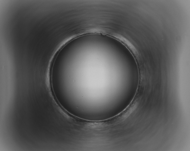 X0000101700902200807171512