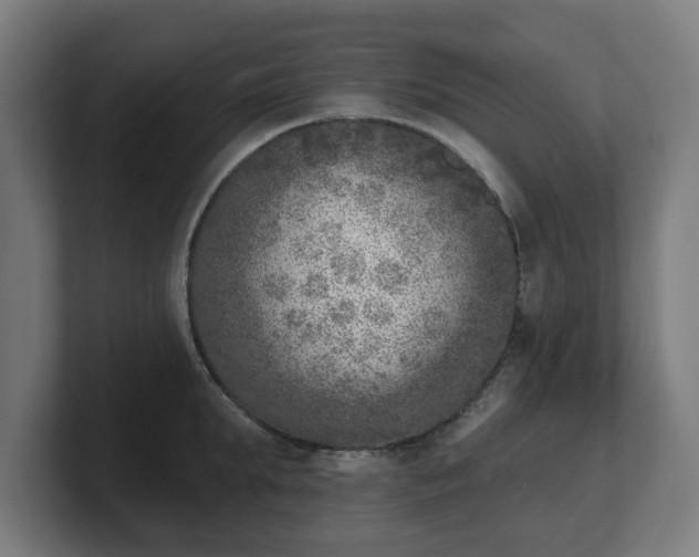 X0000101700903200807171512